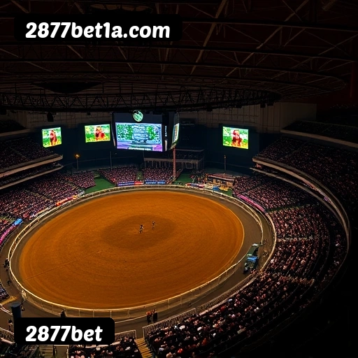 Níveis do programa VIP da 2877bet